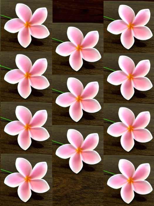 3" Light Pink Plumeria Flower