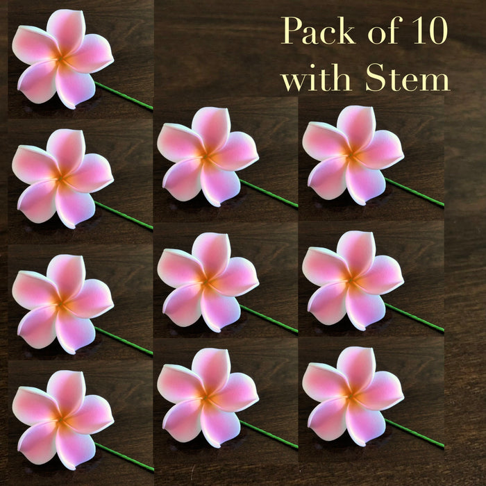 2.5" Light Pink Plumeria Flower